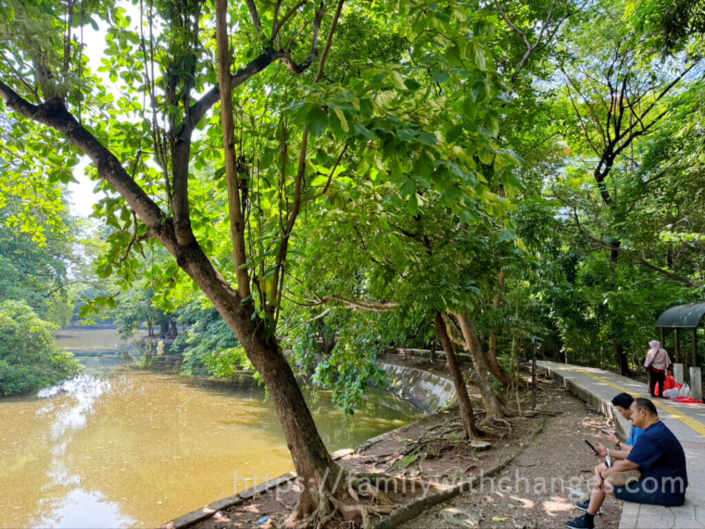 Hutan Kota Srengseng園内の様子